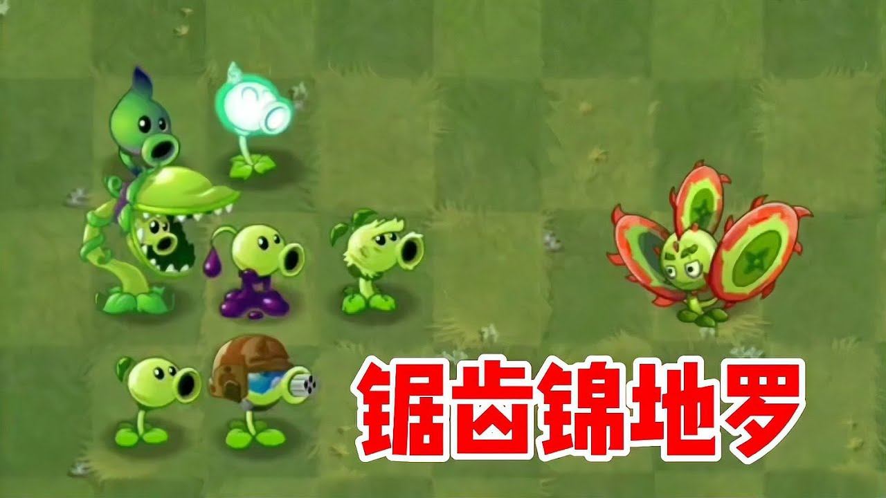 驚爆！鋸齒錦地羅加入哪個家族？植物大戰僵尸新劇情曝光 #植物大战僵尸 #PVZ #杂交版 #PVZ杂交版 #游戏解说