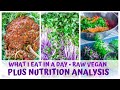 WHAT I EAT IN A DAY • RAW FOOD VEGAN + NUTRITION ANALYSIS