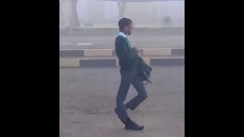 Uploading memes until I get 100k subscribers day 11