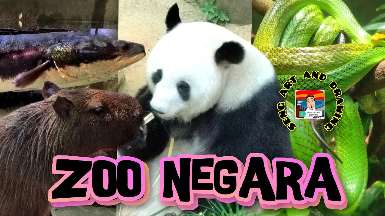 ZOO NEGARA MALAYSIA 🇲🇾  National Zoo of Malaysia 🇲🇾  马来西亚国家动物园