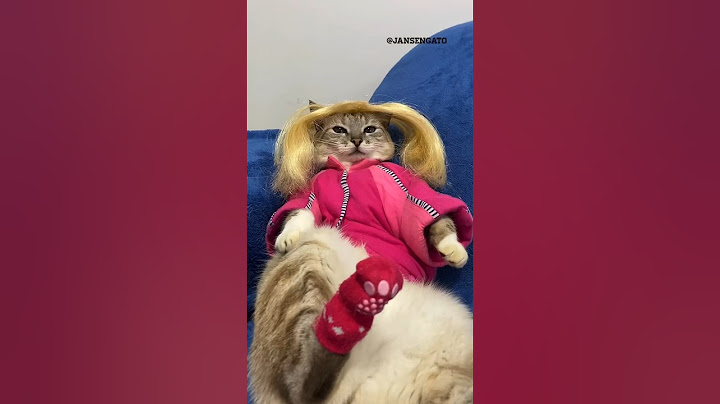 A MALDIÇÃO DA BARBIE