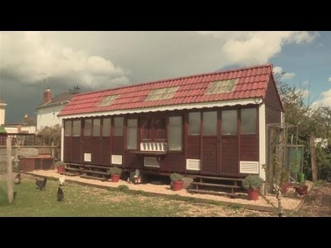 How To Build A Pigeon Coop