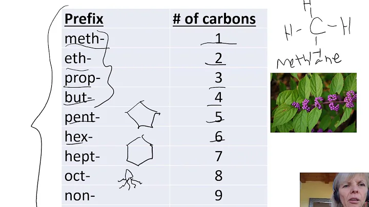 Naming Alkanes & Cycloalkanes Lecture