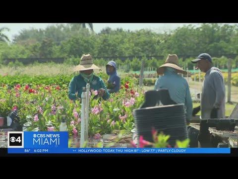 Farm workers say