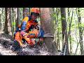 Japanese female lumberjacks working in the mountains｜Wooden crafts