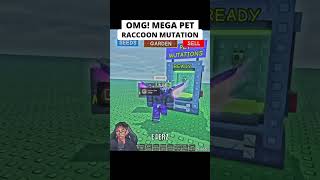 Mega Rac Pa Pet