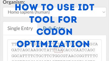 How to use IDT tool for CODON optimization