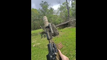 300 blackout subsonic at a slow controlled rate of fire is simply amazing.