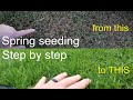 How to GROW GRASS in the SPRING successfully step by step