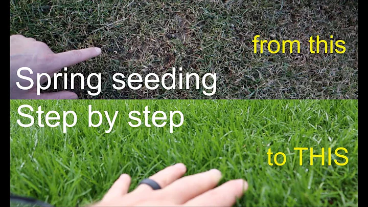 How to GROW GRASS in the SPRING successfully step by step - DayDayNews