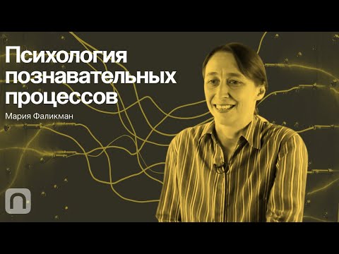 Психология познавательных процессов – курс Марии Фаликман / ПостНаука