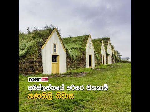 අයිස්ලන්තයේ පරිසර හිතකාමී තණතිලි නිවාස