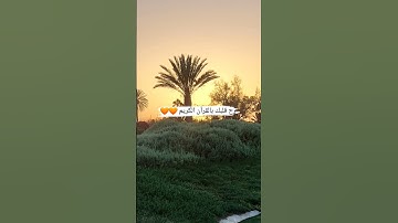 #الراحة_النفسية #اللهم_صل_وسلم_على_نبينا_محمد #استغفرالله #القرآن الكريم