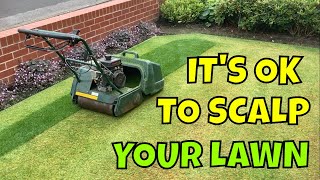 Mid SUMMER LAWN tips / SCALP your lawn this AUGUST Thumb