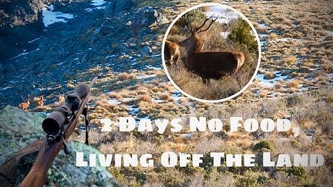 Hunting New Zealand Red Stags - 2 Day Alpine Adventure