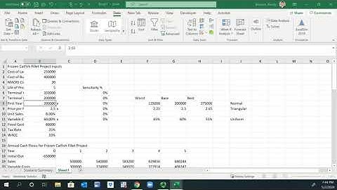 Monte Carlo Simulation of Negative NPV Likelihood using Excel Sim