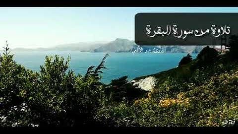 القارئ بدر الألمعي