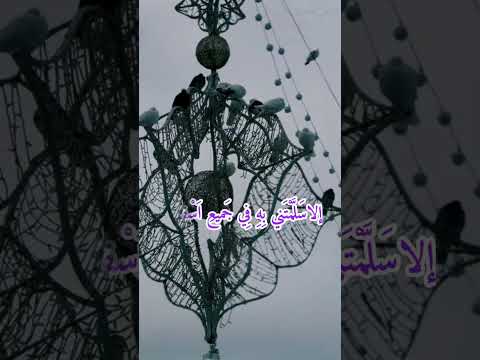 دعاء يخرق الحجب ورد عن الأمام الرضا عليه السلام نافع لحل المشاكل المستعصيةوكل هم وشدة ولقضاء الحوائج