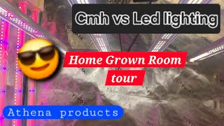  Indoor Cannabis room tour 