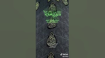 سورة القصص القارئ سعد الغامدي