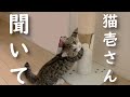 猫壱さんに見てほしい