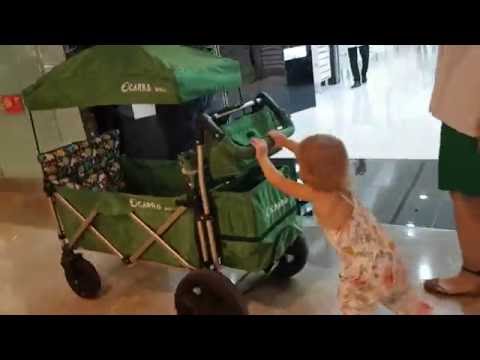 carro stroller wagon