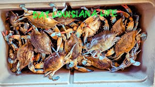 Catching Blue Crabs With Set Nets - We Hit the JACKPOT! (Catch and Cook)