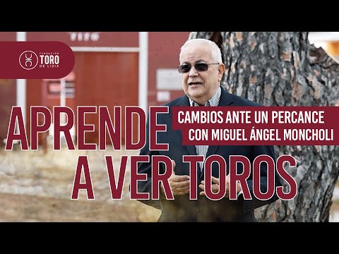 ¿Qué pasa cuando un torero sufre un percance?