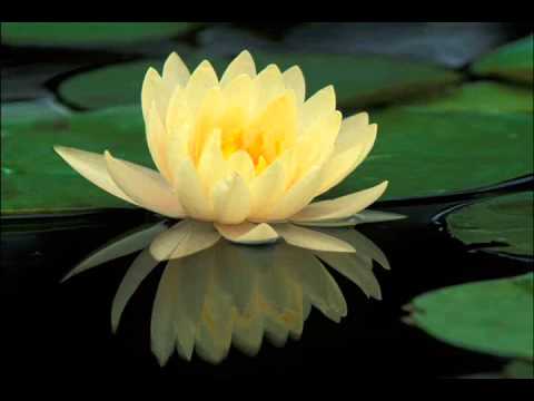 Yana Yulio Cintamu Youtube