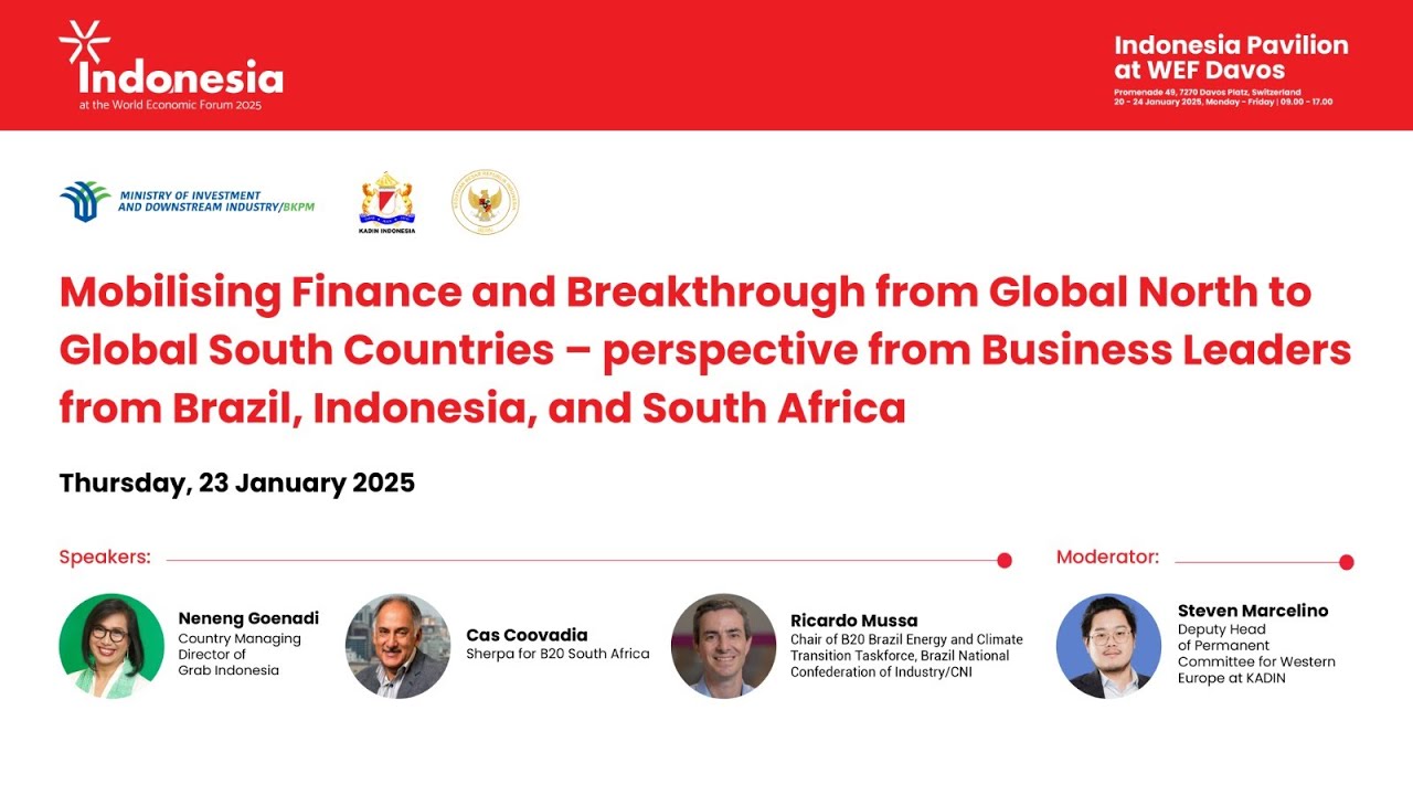 Panel: Mobilising Finance from Global North to Global South Countries