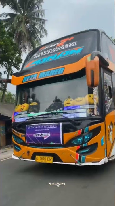STORY WA BUS SJM TRANSS CONAN TERBARU FULL GAYA BEBAS TERBARU ||2022