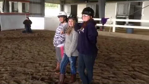 Between Horses and Humands- Video by Cindy Cowen a...