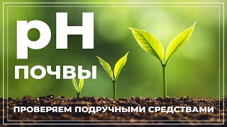 Кислотность почвы. Что это? Как проверить в домашних условиях