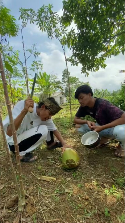 Haus Banget ! Minum Air Kelapa