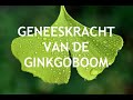 Gezond ginkgo  les 12