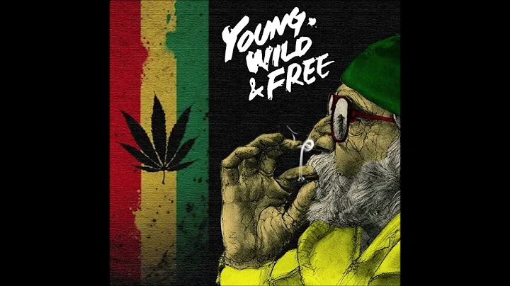 Inner Circle, Wiz Khalifa, Snoop Dogg, Various Artists - Young Wild & Free (Reggae Remix/O.Audio)