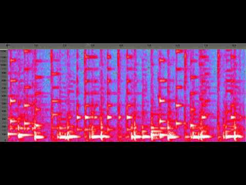 Ray Hargrove Clip 2 (Strasbourg and St Denis)
