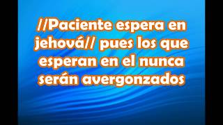 Video thumbnail of "Paciente espera en Jehova - Christian Pérez (audio con letra)"