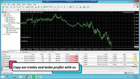 Abella Scalping Robot in Action