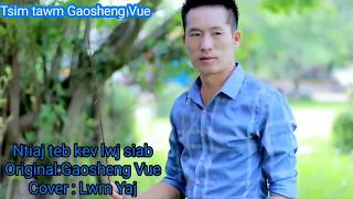 Ntiaj teb kev lwj siab Cover By Lwm Yaj Nkauj tawm tshiab 2019-2020