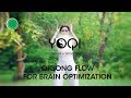 Qigong flow for brain optimization