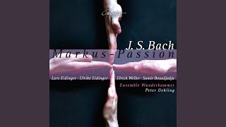Markus Passion, BWV 247: Und alsbald, da er noch redete (Rezitativ)