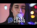 Loyal lobos  the fall ring road sessions live