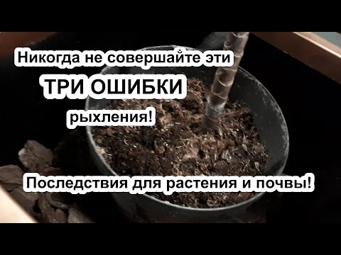 Видео: Что вы используете для рыхления почвы?