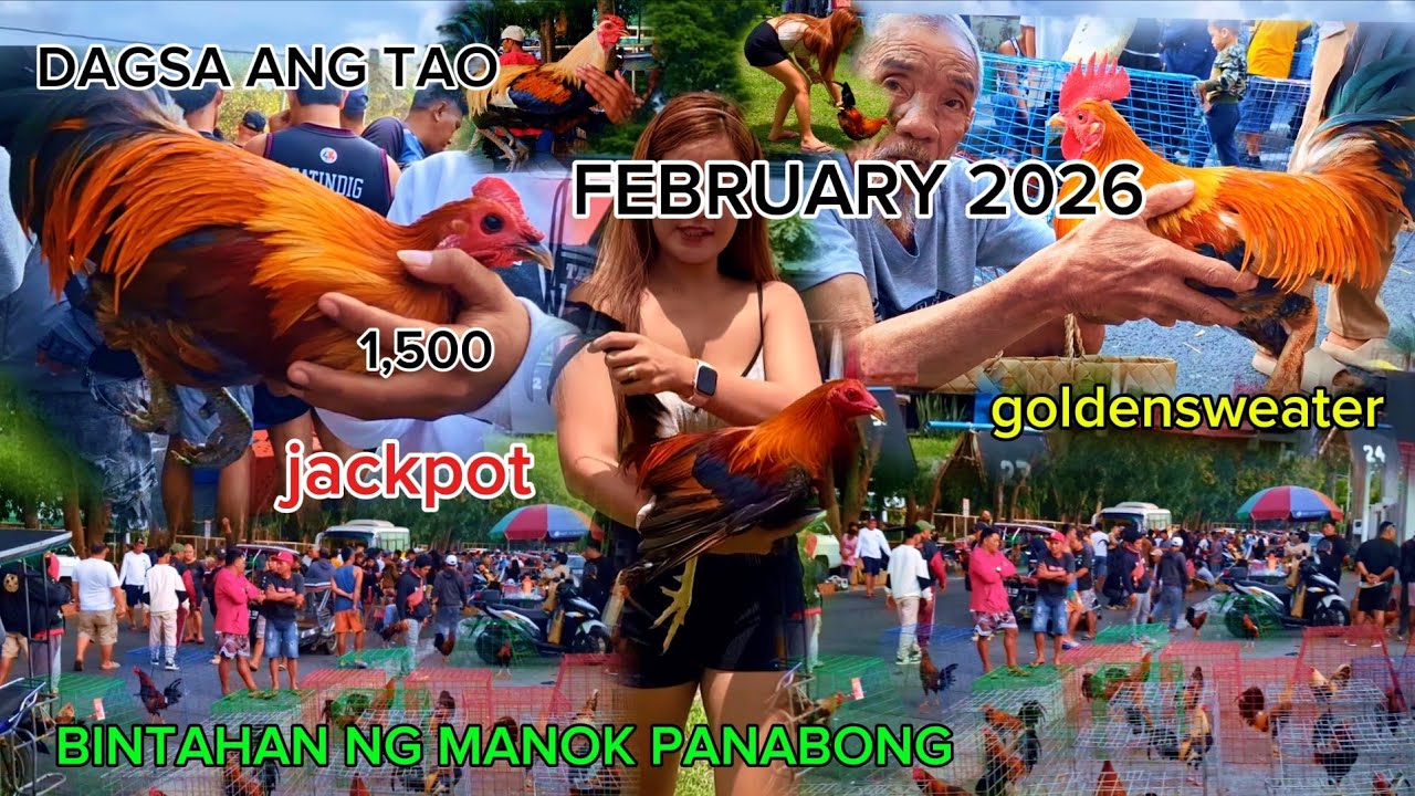 Dagsa ang nagbibinta ang Daming manok Dumating Bintahan ng manok panabong 