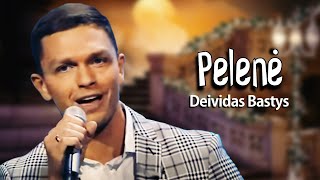 Deividas Bastys - Pelenė (Lyric Video). Gražiausios Poetų Dainos