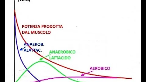 O que é um sistema anaeróbio?