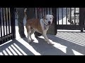 🏡 AUTRY'S FREEDOM VIDEO! 🏡