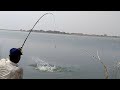 🎣🐟Amazing Fishing Big Rohu fishes Catching |we used 09 number Hook Fishing Mancing Awesome Fishing