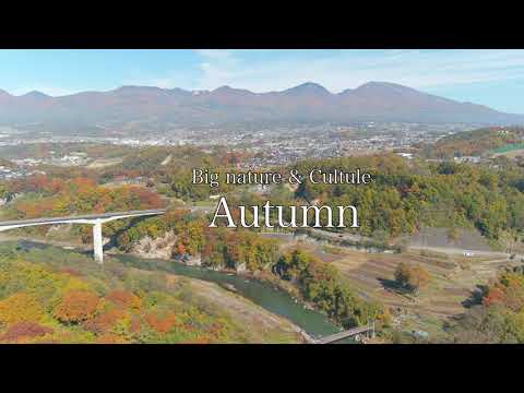 株式会社七五リサーチ